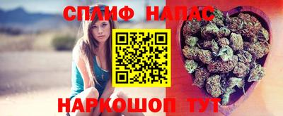 гидра Берёзовский