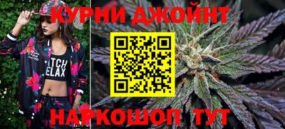 гидра Берёзовский