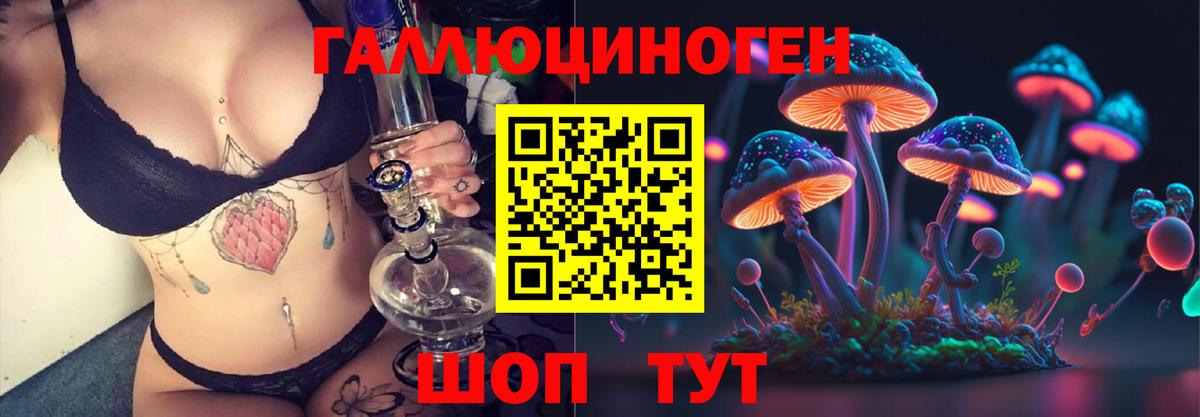 Ижевск  Псилоцибиновые грибы Psilocybe  Вход с VPN  Псилоцибиновые грибы Psilocybe 